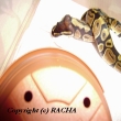 krmen�  �ervencov�ch had�k�